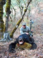 2013 20inch Archery Bear.jpg