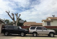 20190723 Toyota 4Runners 2019 and 1997 (3).jpg