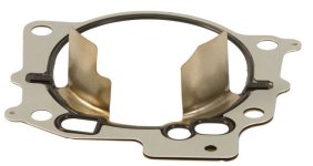 gasket.jpg