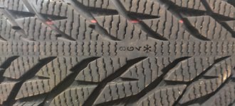 IMG_20201028_081602.jpg