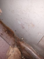 20201223_130929.jpg