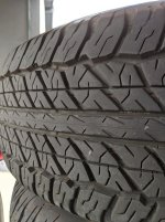 PXL_20210405_161010292.jpg
