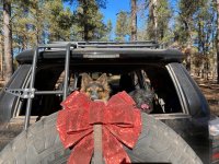 IMG_4176.jpg