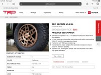 bronze sema rim.jpg