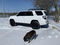 IMG_2104.jpg