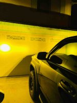 IMG_6391.jpg