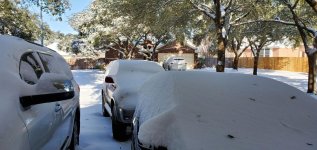 Runner before a drive on Snow Day 2021 2M.jpg
