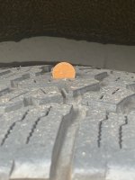 IMG_0572.jpeg