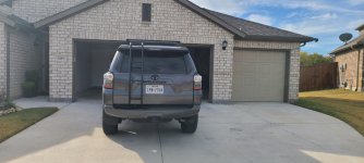 20201104_095504.jpg