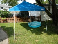DSCN5512.jpg