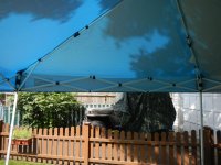 DSCN5513.jpg