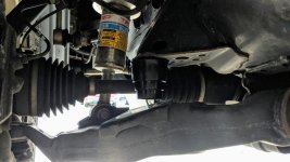 PXL_20201109_031625628.jpg