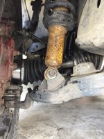 715045F6-87C8-42B0-87EF-401FF37D1826.jpg