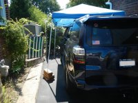 DSCN5516.jpg