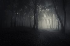 AdobeStock_70954349_53986_900x.jpg