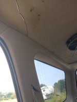 IMG_20210912_121748800.jpg