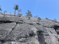 IMG_4521.jpg