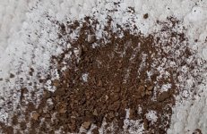 dirt.jpg