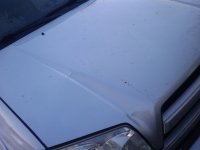 2011-01-11 09.16.44.jpg
