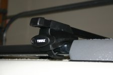 IMG_9846.jpg