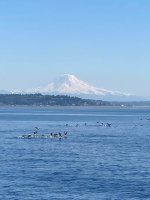 IMG_9633.jpg