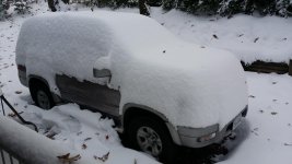 snow1.jpg