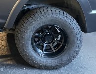 IMG_4163.jpg