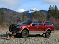 1-5-21 Truck, Snowy Bally & Mattie.jpg