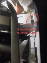 inseparable clip.jpg