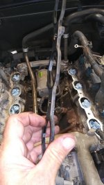 gasket 2.jpg