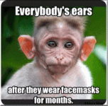 image012.gif