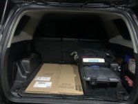 trunk -2.jpg