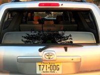 IMG_2678.jpg