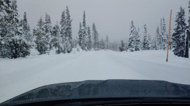 Snow.jpg