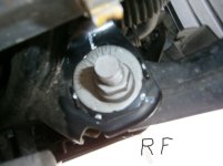 RF1.JPG