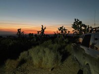 IMG_1905.jpg