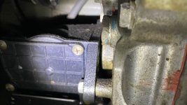 IMG_1207.jpeg