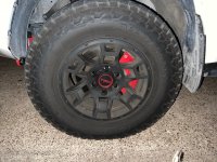 IMG_0607.jpeg