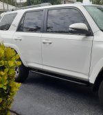OEM rock rails.jpg
