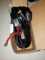 LF harness.jpg
