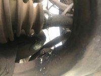 IMG_2924.jpeg