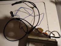 IMG_20220311_133827695.jpg