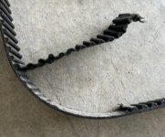 IMG_6550.jpeg