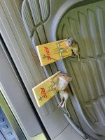 Mices 2.jpg