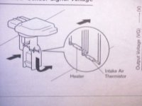 picture5.jpg