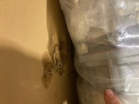 image3 (1).jpeg