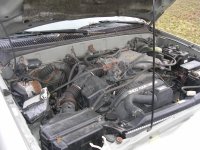 DSCN3448.jpg