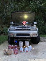 IMG_7487.jpeg