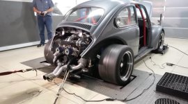 v8 bug.jpg