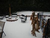 DSCN5681.jpg